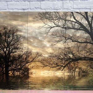 Sunset Tree Canvas Wall Art